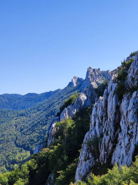 vertical das montanhas e floresta no parque nacional velebit norte na croácia - vertical forest national forest woods - fotografias e filmes do acervo