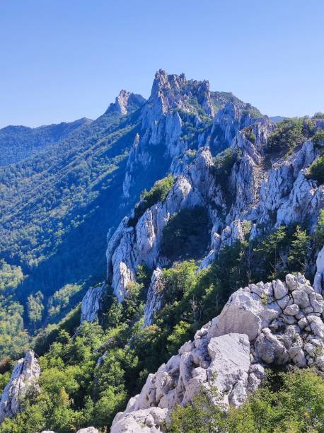 vertical das montanhas e floresta no parque nacional velebit norte na croácia - vertical forest national forest woods - fotografias e filmes do acervo