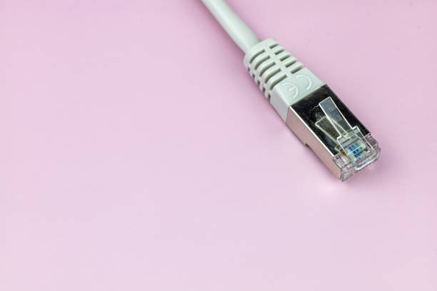 istock Network cable RJ45 isolated on a pink background 1433568194