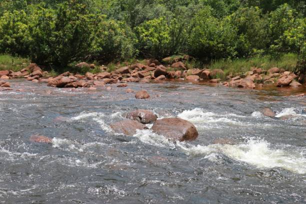 istock Raging river water with big rocks and trees 1433568586