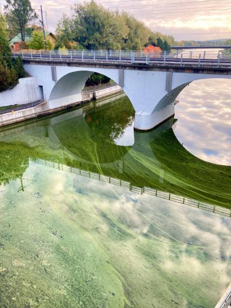 istock Vertical shot of a white bridge over a clear river on a sunny day 1433570804