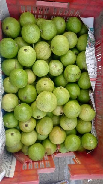 istock Basket full of ripe guavas 1433571935