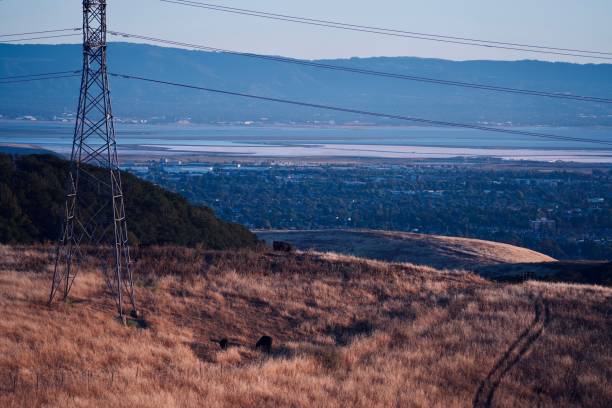 istock Electricity tower in a landscape during the day under the clear sky 1433572411