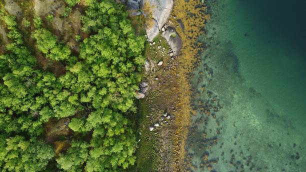 istock Aerial view of a coast 1433572459