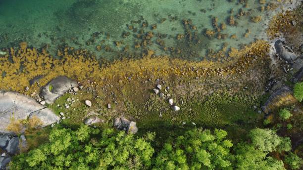 istock Aerial view of a coast 1433572460