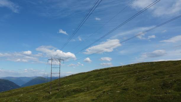 istock Power line on the hill covered in greenery 1433572506