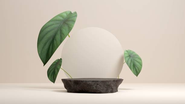 istock 3D rendering of an empty round podium for product display 1433574040