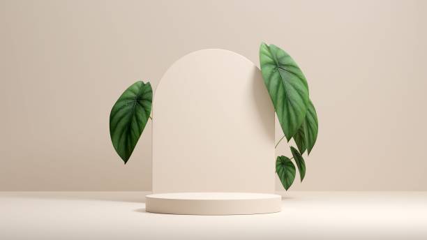 istock 3D rendering of an empty round podium for product display 1433574050