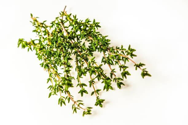 istock Closeup shot of Thyme herb on a white background 1433574134