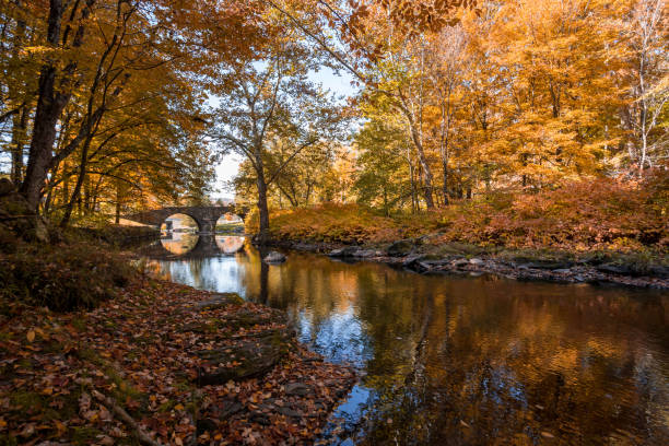 istock Stone Arch Bridge in Callicoon, NY, Catskill Mountains, surrounded by brilliant fall foliage on a bright autumn morning 1433574813