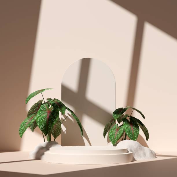 istock 3D rendered illustration of an empty podium surrounded by plants 1433575043