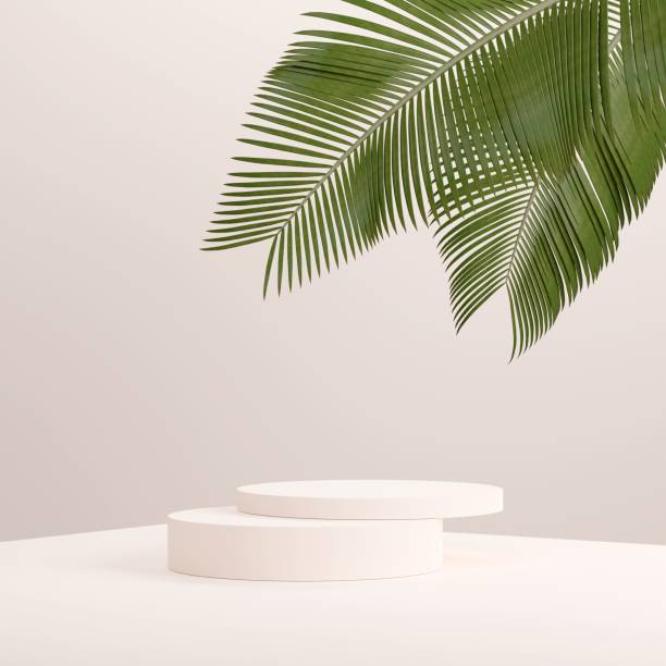 istock 3D rendered illustration of an empty podium surrounded by plants 1433575116