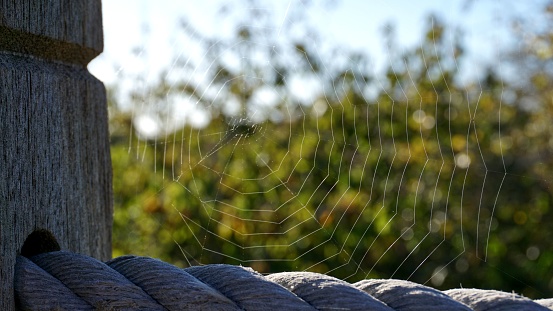A selective focus shot of a Spider web on a rope and a wooden pole on the North Sea island of Juist