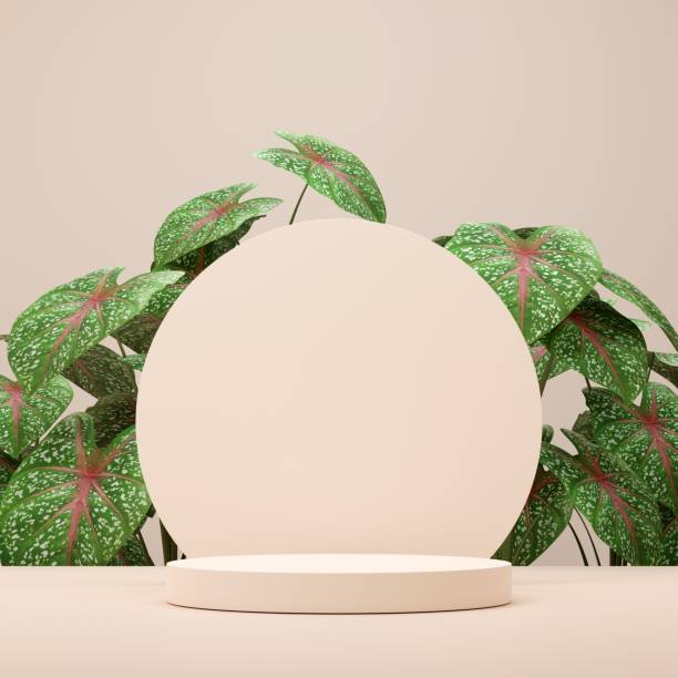 istock 3D rendered illustration of an empty podium surrounded by plants 1433575184