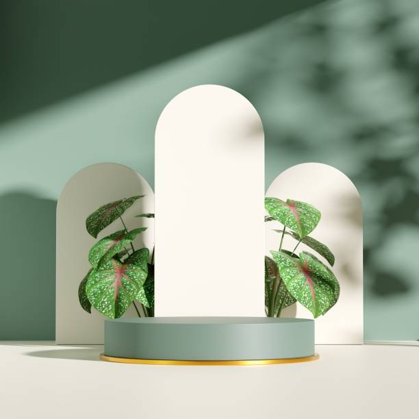 istock 3d display podium pastel green background with green plants 1433575447