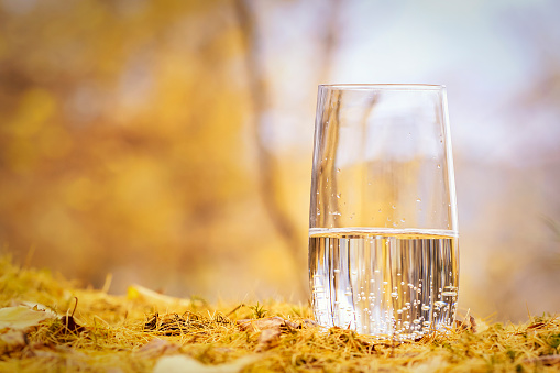 a glass of pure mineral water against the background of the autumn forest copy space . yellow foliage background healthy lifestyle