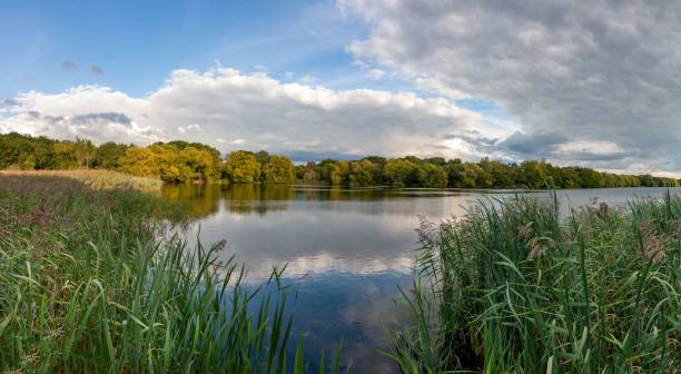 istock Panoramic view of a lake reflecting the sky with trees in the background. 1433575834