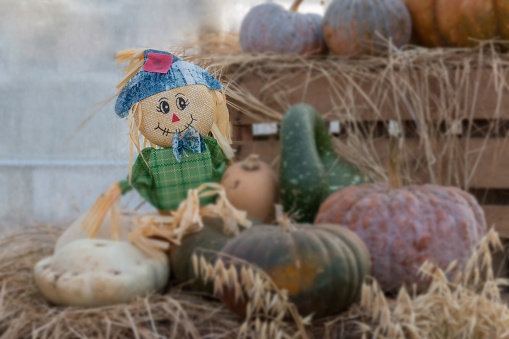 A rustic straw doll with pumpkin decorations in the farm in a shallow focus