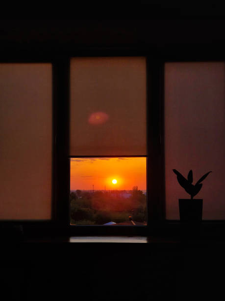 istock room plant on the window with amazing landscape background 1433577949