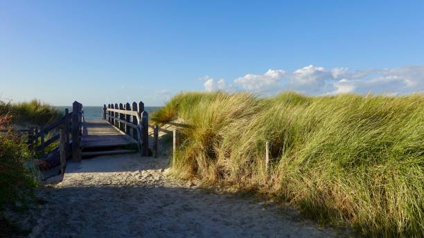 istock Coast landscape at the North Sea 1433579278