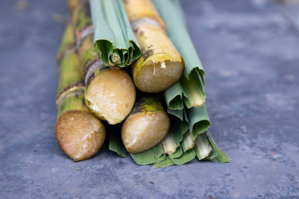 einige frische zuckerrohrscheiben mit reihenblatt auf dem boden - cut sugar cane stock-fotos und bilder