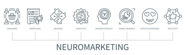 Neuromarketing vector infographic in minimal outline style Neuromarketing concept with icons. Consumers, advertising, behaviour, cognitivity, neuropsychology, market research, affective responses, effectivity. Business banner. Web vector infographic in minimal outline style neuropsychology stock illustrations