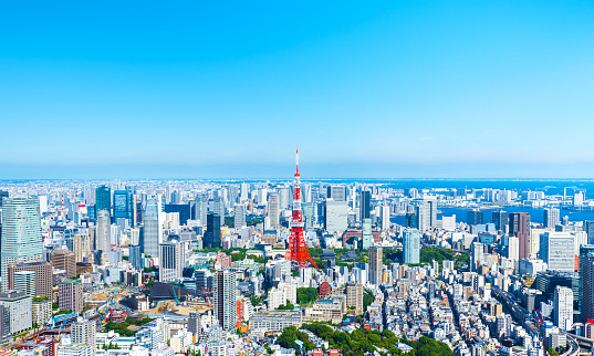 Panoramic view of the cityscape of central Tokyo.