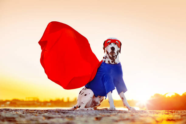 istock Superhero dog sitting against sunrise background 1433587320