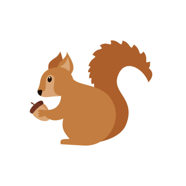 540+ Jumping Squirrel Stock Illustrations, Royalty-Free Vector Graphics ...