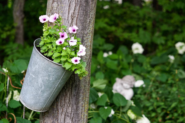 des fleurs en acier peuvent être accrochées à l’arbre. - galvanized bucket photos et images de collection