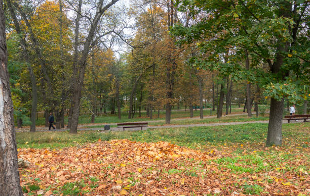 istock View of the KPI park in Kyiv 1433594887