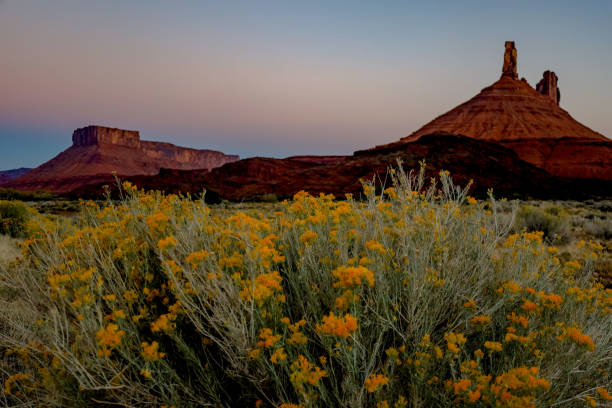istock Scenic drive in Castle Valley, Utah 1433595472