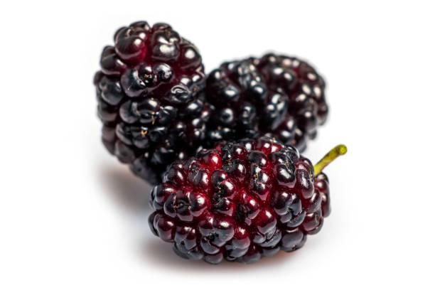 istock Black mulberry isolated on a white background closeup 1433601713