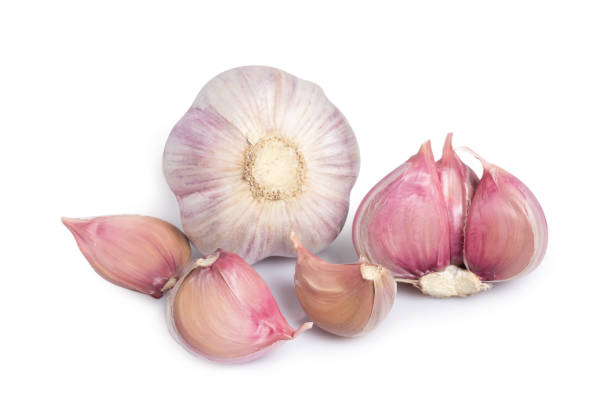 istock Garlic clove and bulb isolated on white background. 1433602172