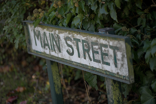 A weathered country street sign titled Main Street nestled next to a hedge