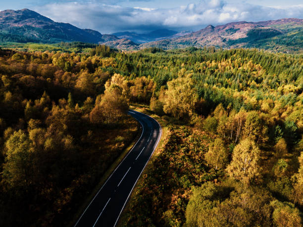 istock Autumn scene winding road, aerial view. 1433614361