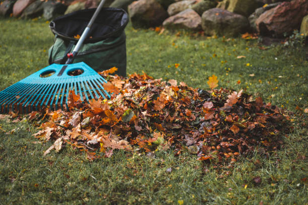 istock Gardening in Autumn 1433615909