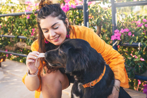 istock Young woman with her dog. 1433617512