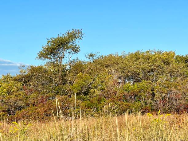 istock Gateway park Staten Island New York 1433618153