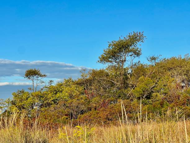 istock Gateway park Staten Island New York 1433618670