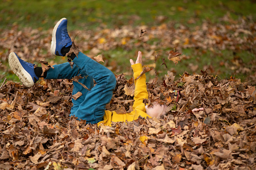 A boy plays with a pile of leaves in his front yard.