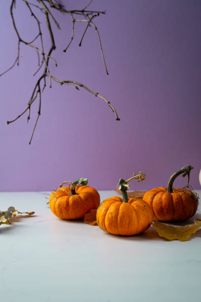 istock Autumn composition with small pumpkin copy space holiday concept 1433621825