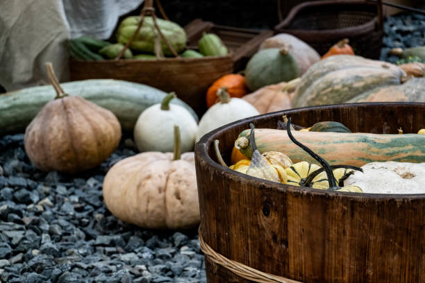 Pumpkin harvest in rural China