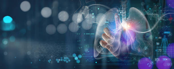 Medical technology diagnostics concept.Medicine doctor and stethoscope working with Human lungs with Ai medical technology on virtual screen for treatment. stock photo