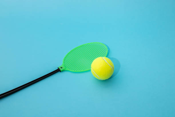 istock Plastic fly catcher and tennis ball on a blue background. 1433631898