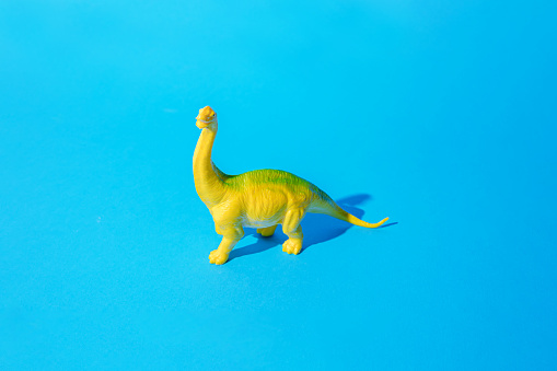 Yellow green plastic toy Brachiosaurus dinosaur stands on a blue background. Minimal concept.