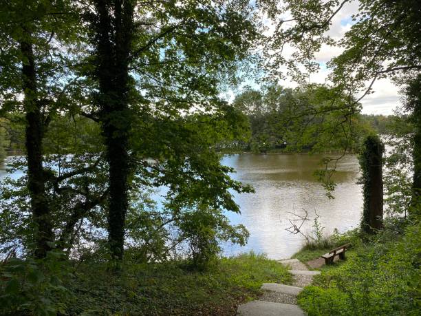 istock Beautiful Park bench in Kloster chorin 1433633696