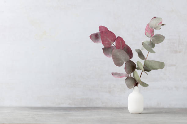 istock Green eucalyptus leaves in vase. Front view. Place for text, copy space, mockup. 1433635283