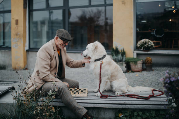 Senior man sitting on bench with his dog and playing chess.