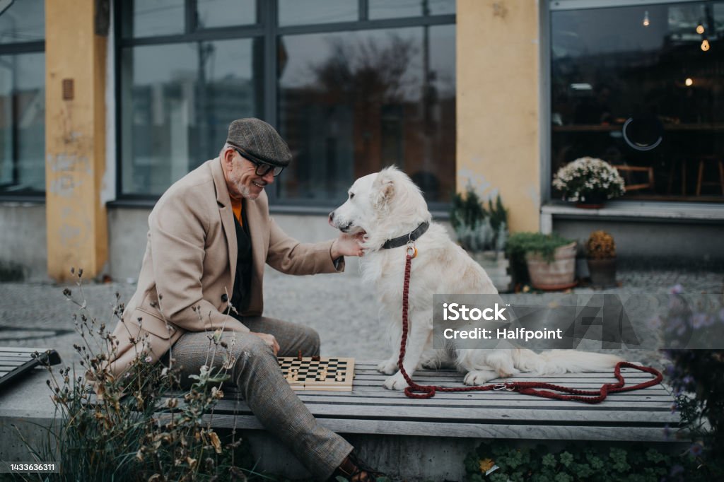 Senior man sitting on bench with his dog and playing chess. Senior man sitting on a bench with his dog and playing chess. Senior Adult Stock Photo